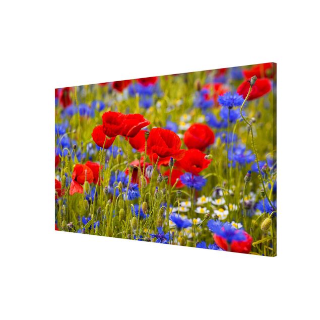 Magneetborden Summer Meadow With Poppies And Cornflowers