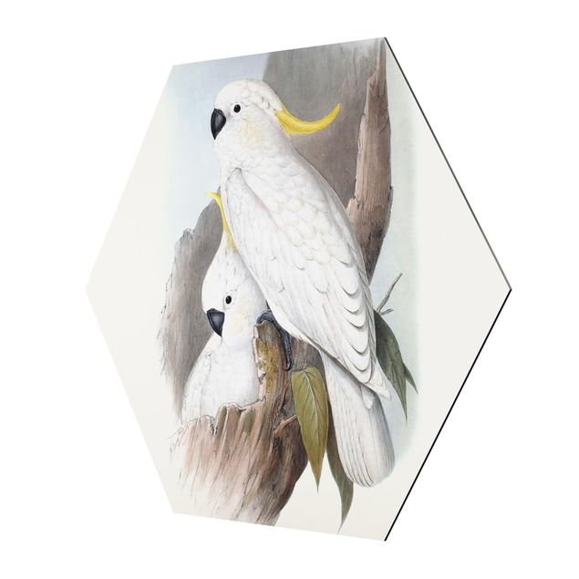 Hexagons Aluminium Dibond schilderijen Pastel Parrots III