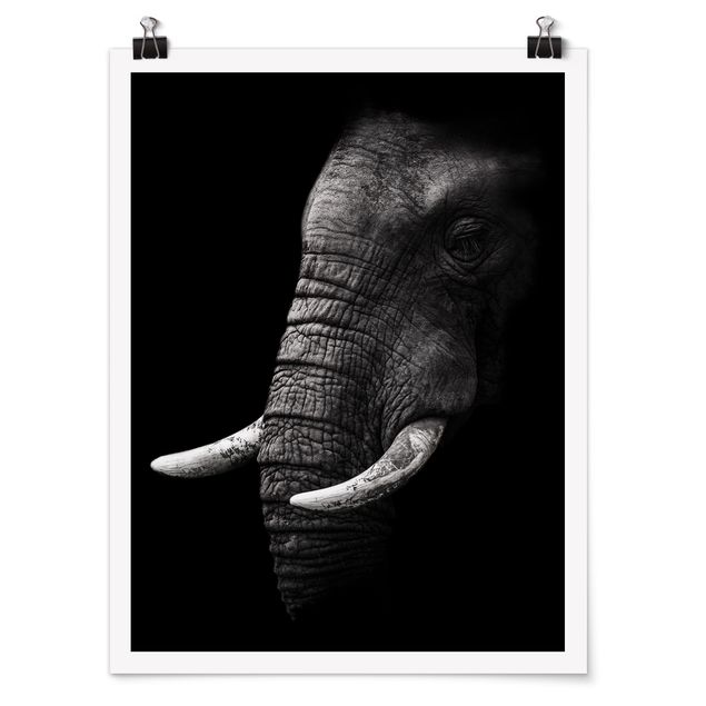Posters Dark Elephant Portrait