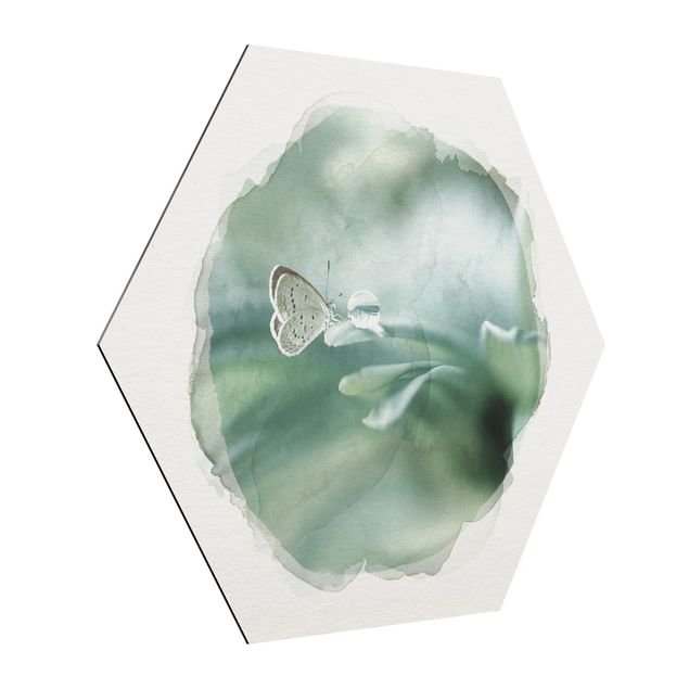 Hexagons Aluminium Dibond schilderijen WaterColours - Butterfly And Dew Drops In Pastel Green