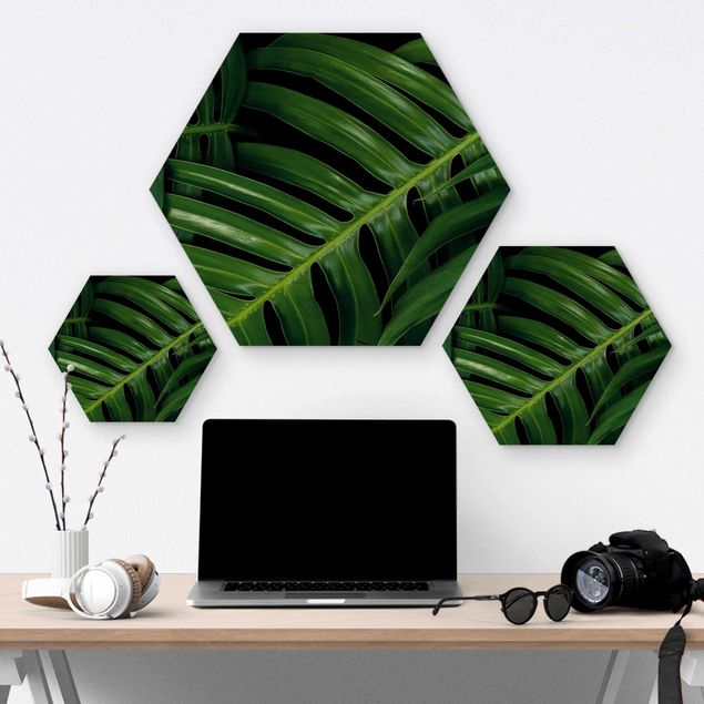 Hexagons houten schilderijen Palm Leaves