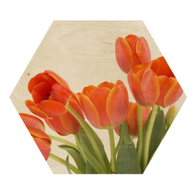 Hexagons houten schilderijen No.191 Tulips