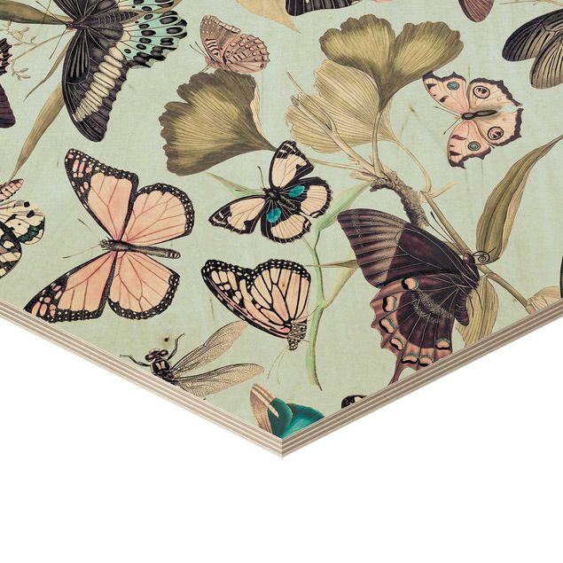 Hexagons houten schilderijen Vintage Collage - Butterflies And Dragonflies