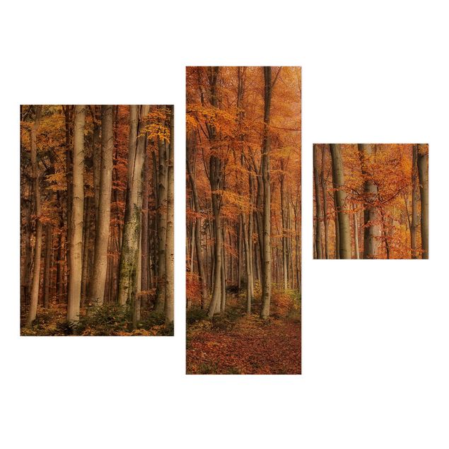 Canvas schilderijen - 3-delig Autumn Stroll