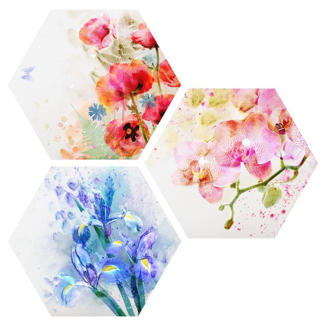 Hexagons Aluminium Dibond schilderijen - 3-delig Watercolour Flower Trio