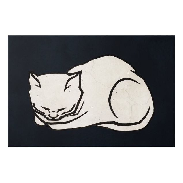 Forex schilderijen Sleeping Cat Illustration