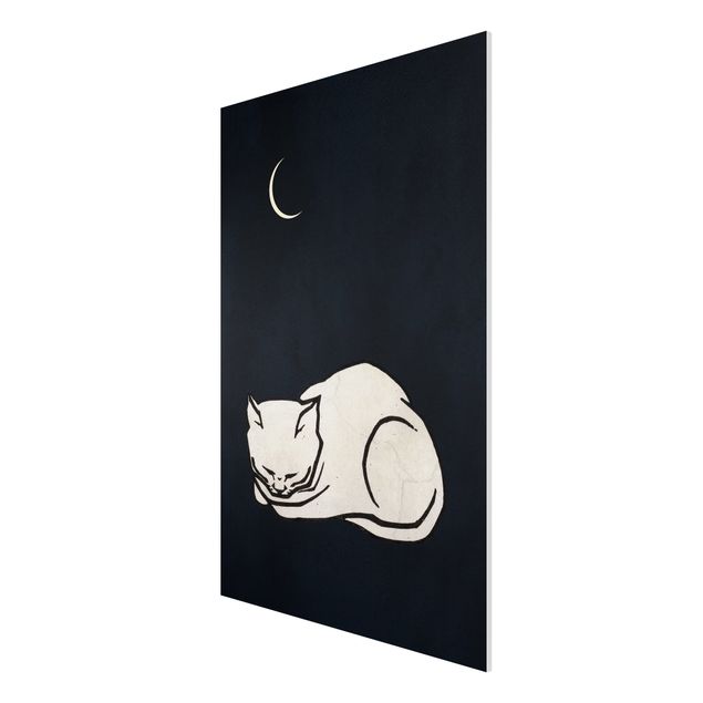 Forex schilderijen Sleeping Cat Illustration