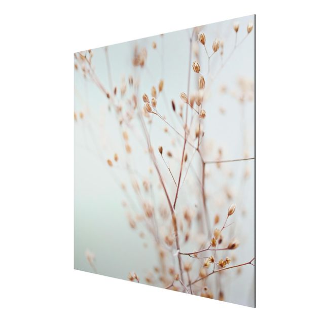 Aluminium Dibond schilderijen Pastel Buds On Wild Flower Twig