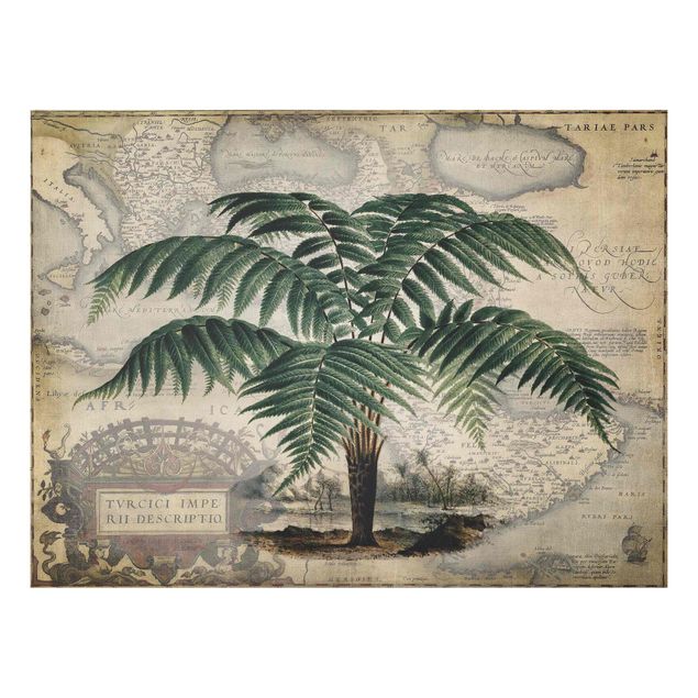 Forex schilderijen Vintage Collage - Palm And World Map