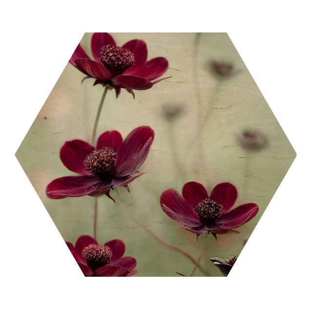 Hexagons houten schilderijen Pink Cosmos Flower