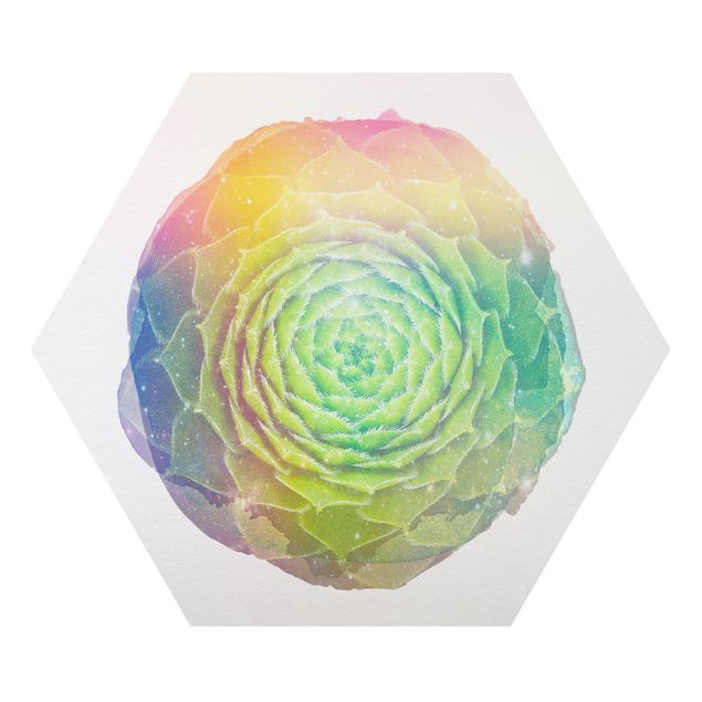 Hexagons Aluminium Dibond schilderijen WaterColours - Mandala Succulent