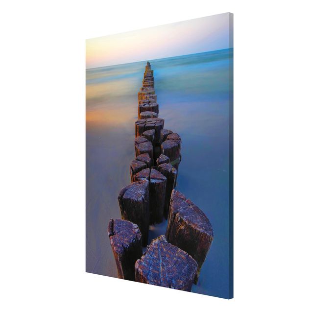 Magneetborden Groynes At Sunset At The Ocean