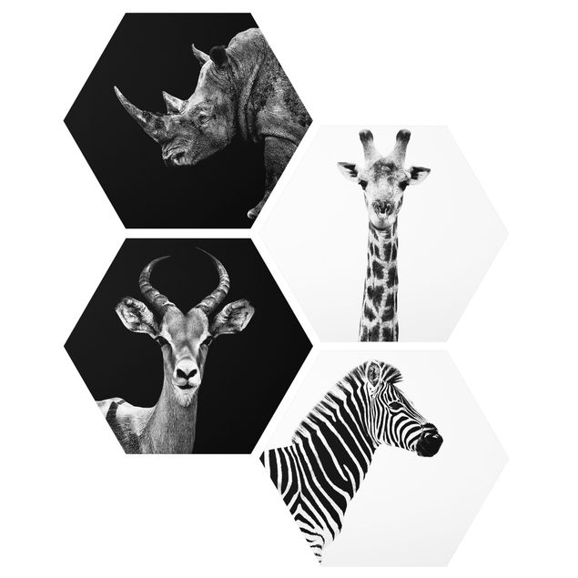 Hexagons Forex schilderijen - 4-delig Safari Quartet