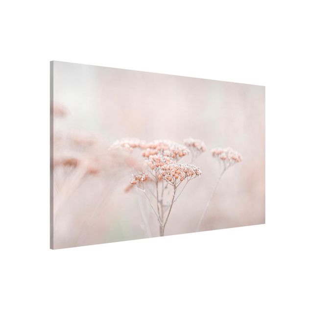 Magneetborden Pale Pink Wild Flowers