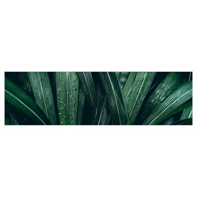 Keukenachterwanden Green Palm Leaves