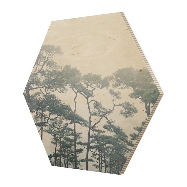 Hexagons houten schilderijen Treetops In Fog