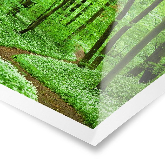 Posters Romantic Forest Track
