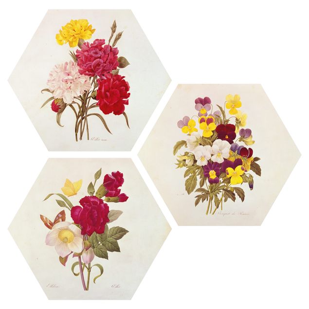 Hexagons Forex schilderijen - 3-delig Pierre Joseph Redouté - Roses Cloves Pansies