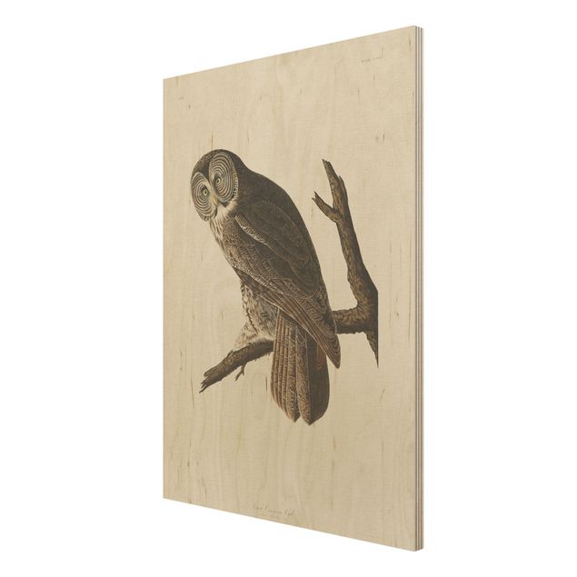 Houten schilderijen Vintage Board Great Owl