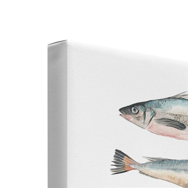 Canvas schilderijen - 2-delig  Fish In Watercolour Set I