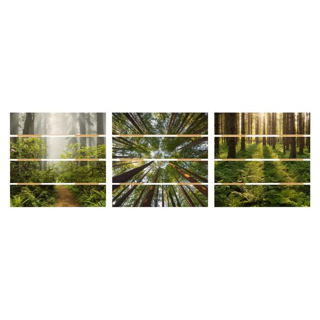 Houten schilderijen op plank - 3-delig Forest Trio