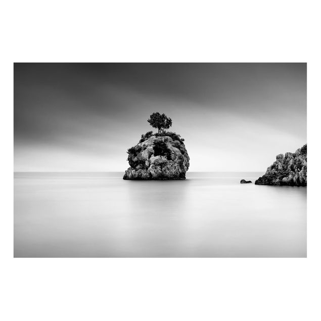 Magneetborden Rocky Island In The Sea Black And White