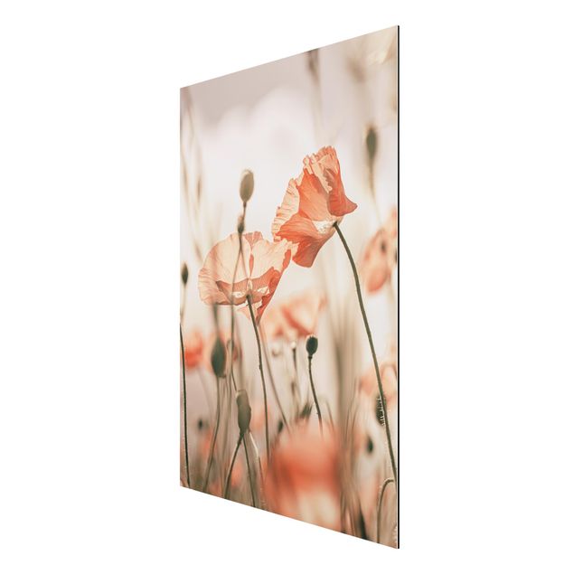 Aluminium Dibond schilderijen Poppy Flowers In Summer Breeze