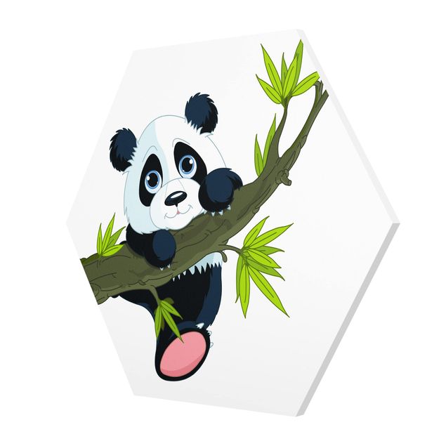 Hexagons Forex schilderijen Climbing Panda