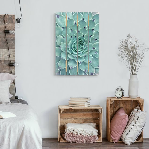 Houten schilderijen op plank Cactus Agave