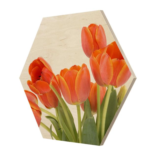 Hexagons houten schilderijen No.191 Tulips