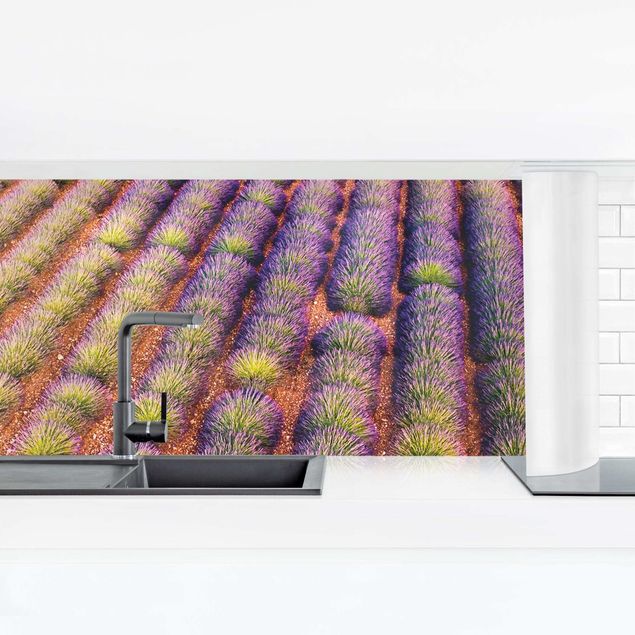 Achterwand in keuken Picturesque Lavender Field