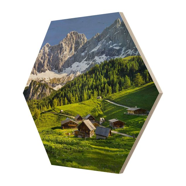 Hexagons houten schilderijen Styria Alpine Meadow