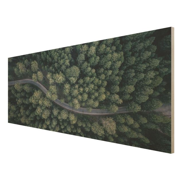 Houten schilderijen Aerial View - Forest Road From The Top