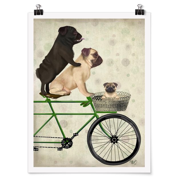Posters Cycling - Pugs On Bike