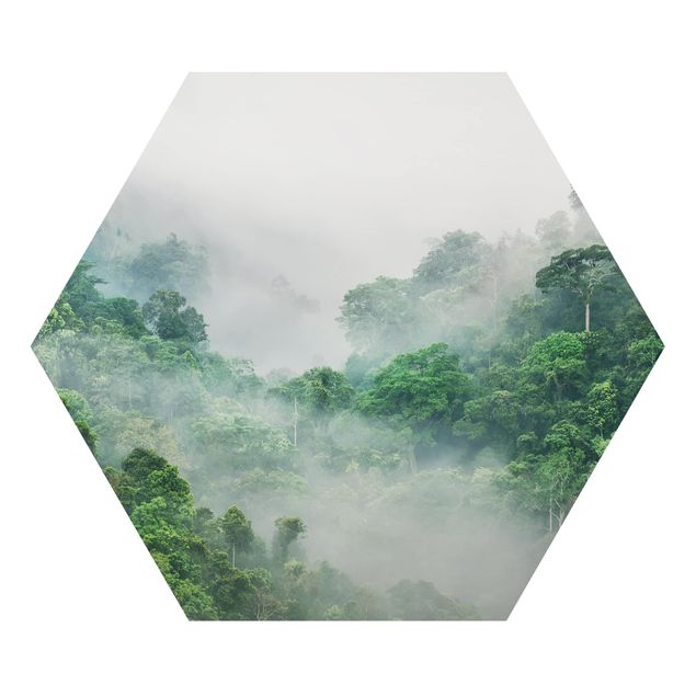 Hexagons Aluminium Dibond schilderijen Jungle In The Fog