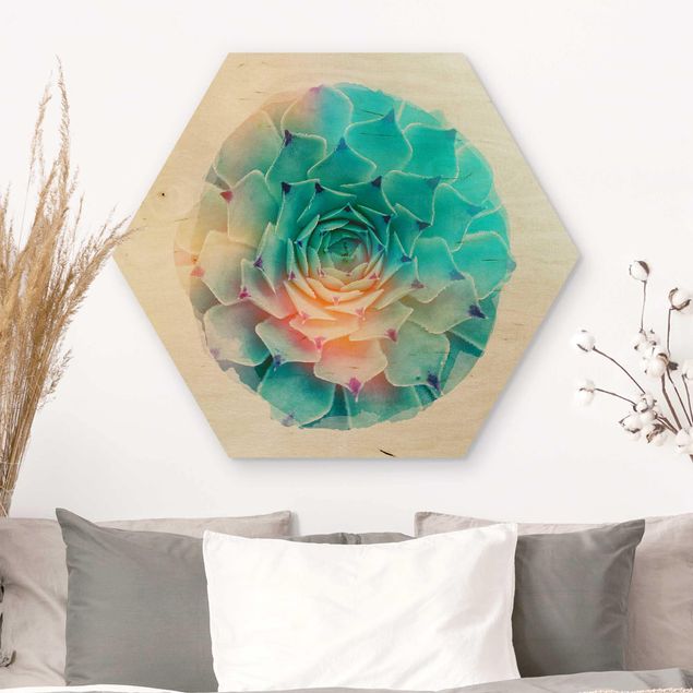 Hexagons houten schilderijen WaterColours - Cactus Agave