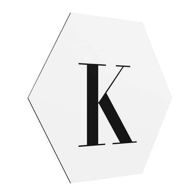Hexagons Aluminium Dibond schilderijen Letter Serif White K