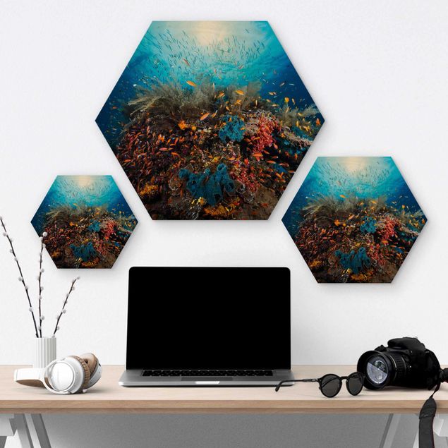 Hexagons houten schilderijen Lagoon Underwater