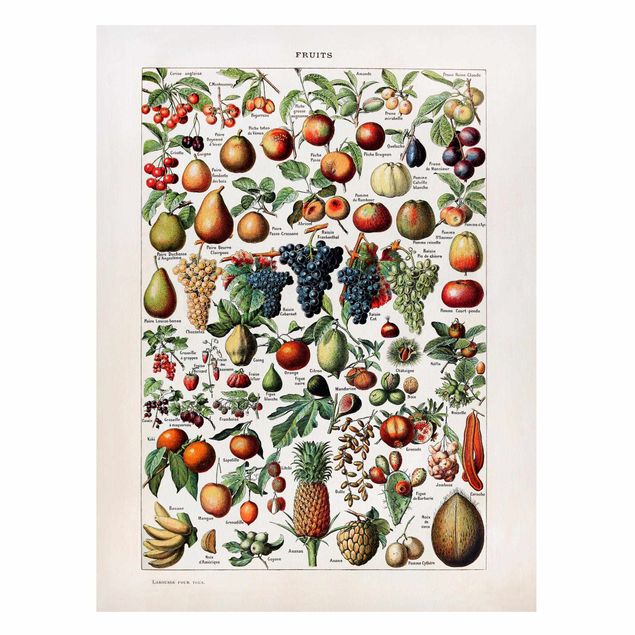 Magneetborden Vintage Board Fruits