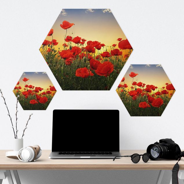 Hexagons Aluminium Dibond schilderijen Poppy Field In Sunset