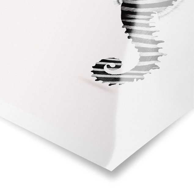 Posters Seahorse With Zebra Stripes