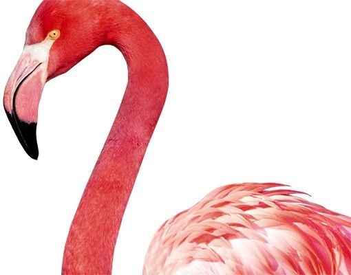 Raamstickers Pink Flamingo