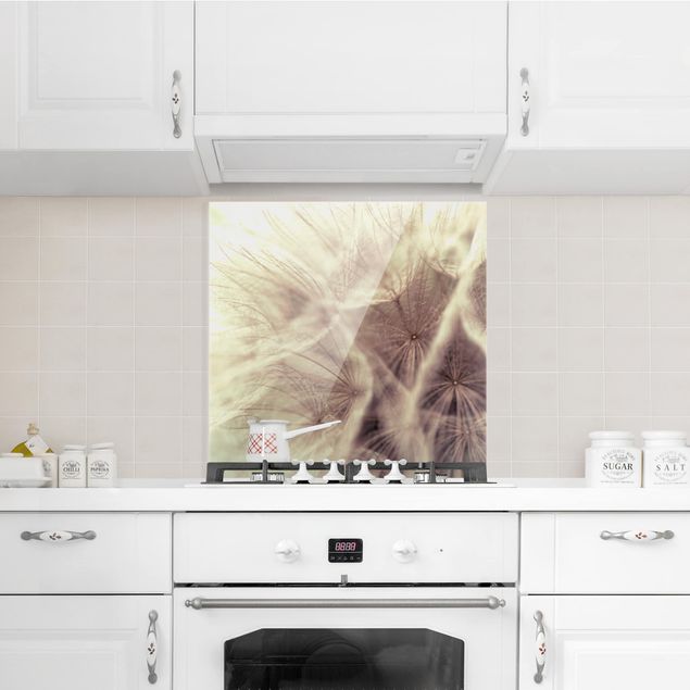 Spatscherm keuken Detailed Dandelion Macro Shot With Vintage Blur Effect