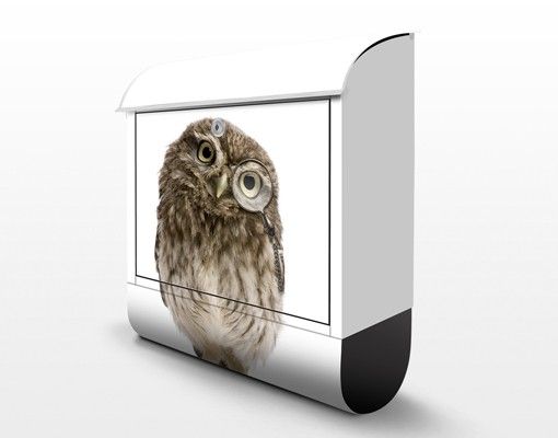 Brievenbussen Curious Owl