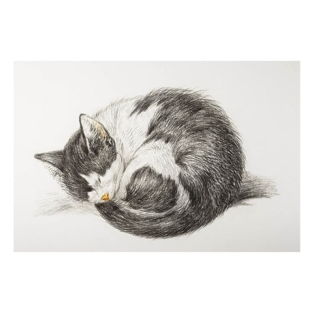 Aluminium Dibond schilderijen Vintage Drawing Cat II