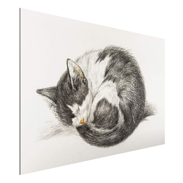 Aluminium Dibond schilderijen Vintage Drawing Cat II