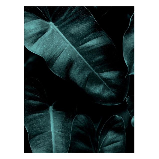 Magneetborden Jungle Leaves Dark Green
