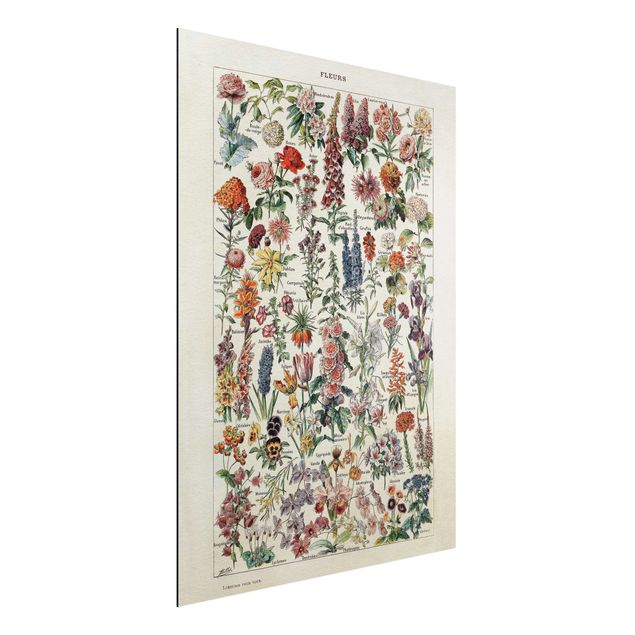 Aluminium Dibond schilderijen Vintage Board Flowers V