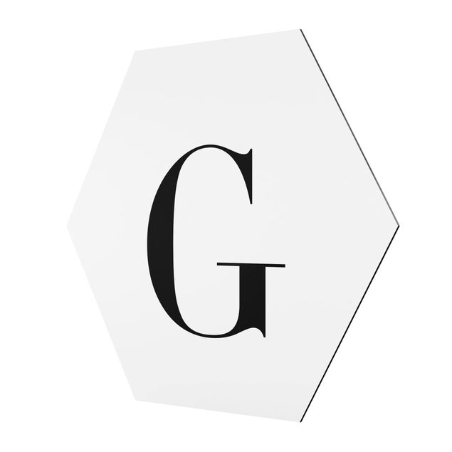 Hexagons Aluminium Dibond schilderijen Letter Serif White G