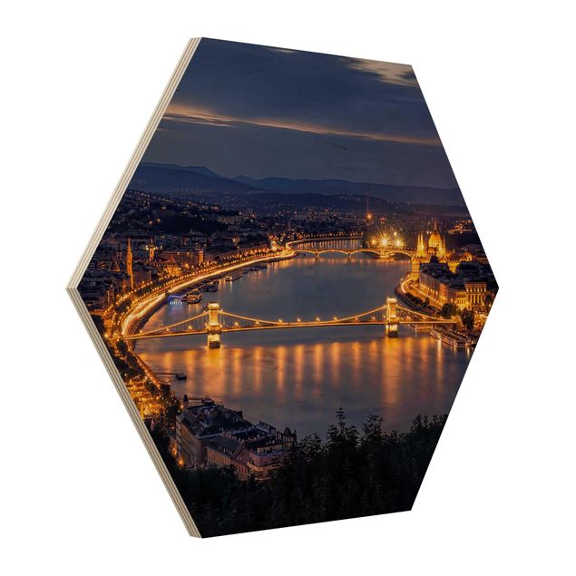 Hexagons houten schilderijen View Of Budapest
